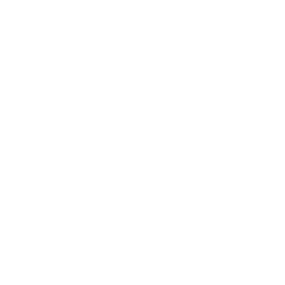 Audit Micro Controls